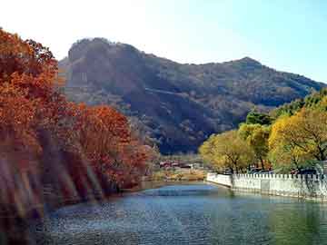 新澳天天开奖资料大全旅游团，虫噬天下